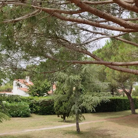 Les Casselas - Sans Vis A Vis - Proche Plage Et Commerces